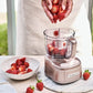 Cuisinart Mini Prep Pro Mini Chopper | ECH4PE