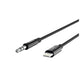 Belkin 3.5 mm Audio Cable With Lightning Connector