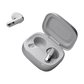JBL Live Flex 3 Hi-Res Audio Wireless Earphone